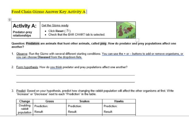 effects-of-changing-rabbit-population-on-food-chain-studocu